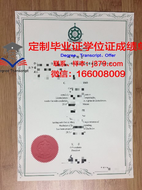 PUCRJ本科毕业证：一份承载梦想与荣誉的证书