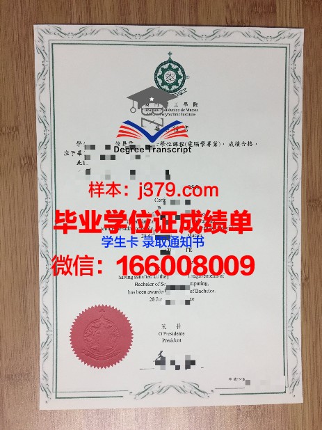 一站式服务：伦政毕业证补办全攻略