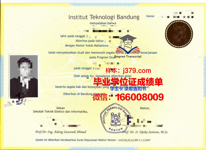 万隆本科证书实用性与市场认可度