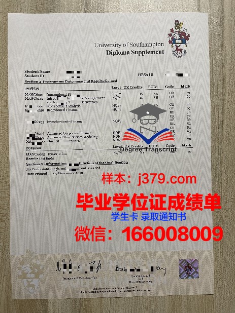 N大学位成绩单定制：探索背后的市场需求与诚信困境