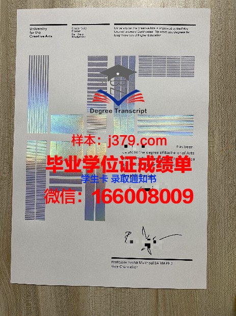 Snips创意艺术学院硕士（研究生）毕业证 Snips International College of Creative Arts diploma