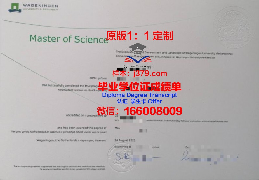 温斯顿萨勒姆州立大学毕业证是什么样子(温莎大学毕业证)