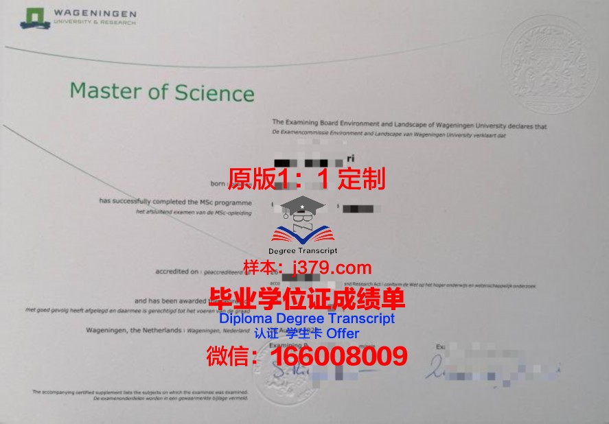 Paul II毕业证：承载荣誉与梦想的纸笔传奇
