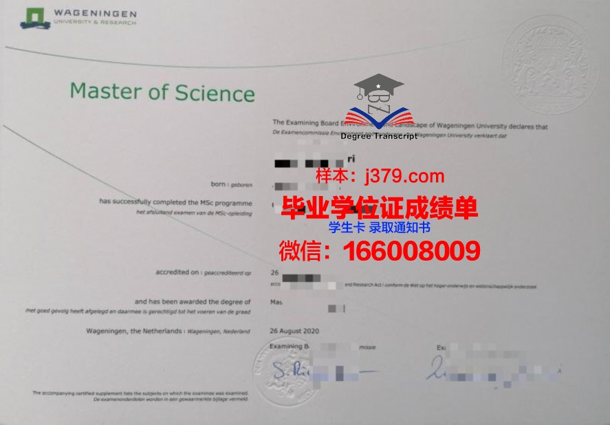 SOF毕业证：迈向职场新篇章的通行证
