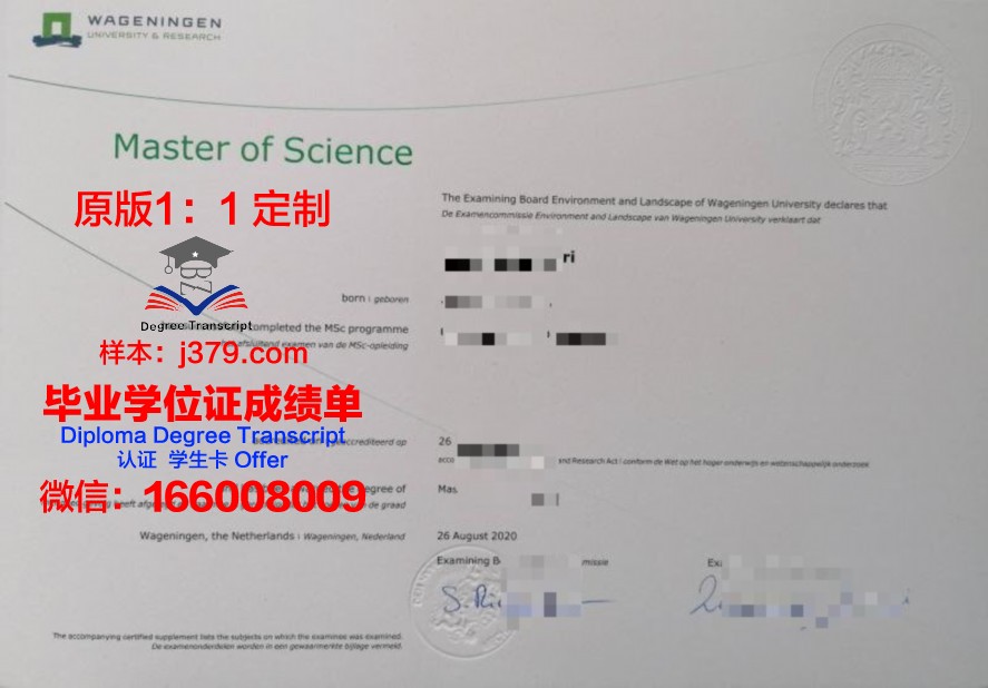 万理工毕业证文凭：求职市场的优势与挑战