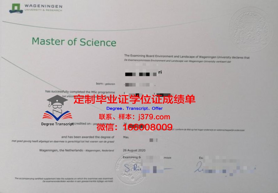 N村硕士毕业证：揭开乡村教育的新篇章