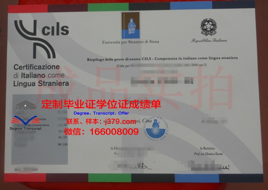锡耶纳大学毕业文凭