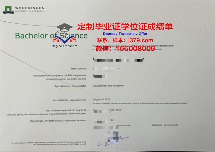一窥比可卡本科证书的报考流程与要求
