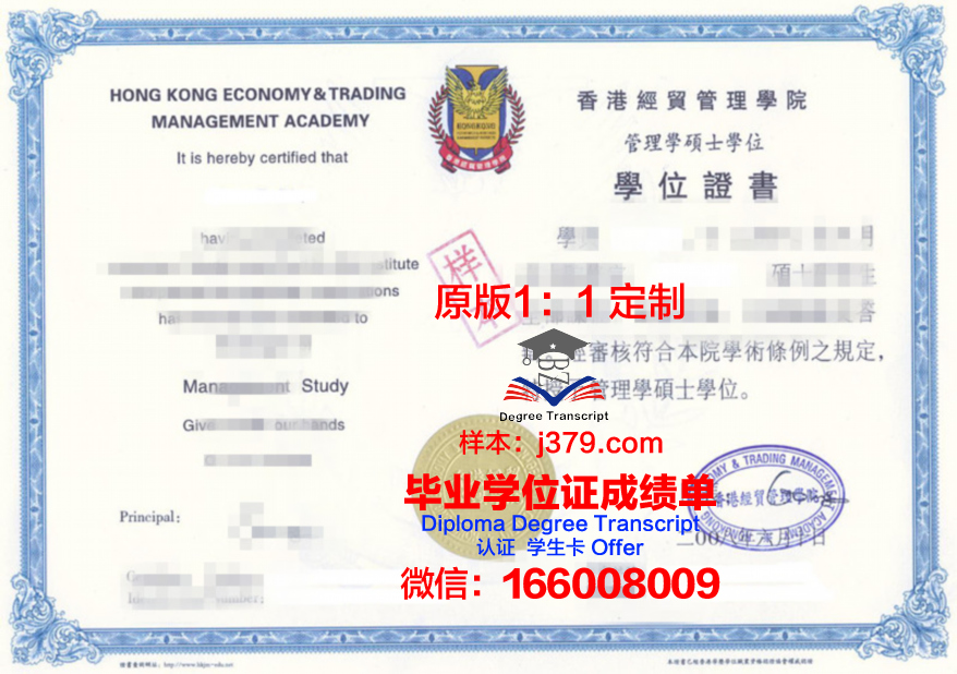 一桥毕业证书模板：经典版与升级版对比