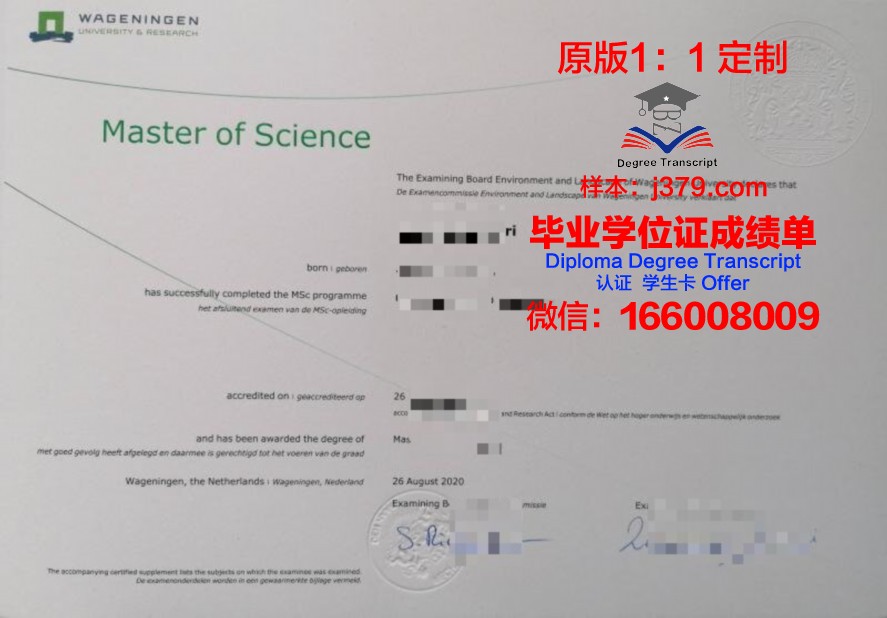 Rosen毕业证：承载荣誉与梦想的文凭