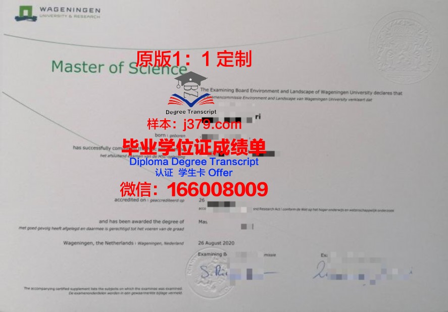 湖北大学毕业证样本图片：历史与现实的交汇
