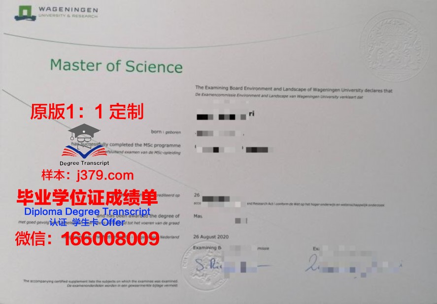 国外拿毕业证吗(国外毕业证就是一张纸吗)