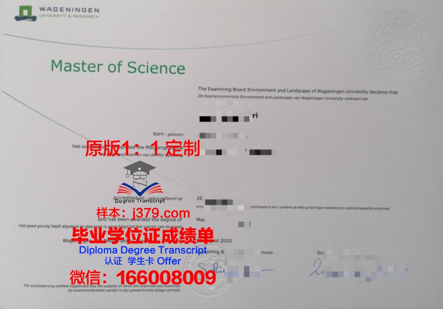 RIMC本科毕业证：一张通往未来的通行证