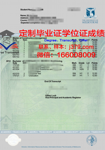 SLUW成绩单：记录成长足迹，见证蜕变历程