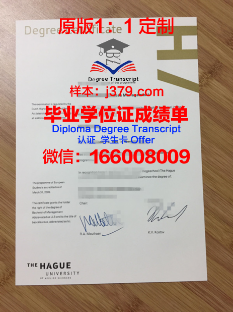 海牙应用科学大学毕业证定制：探索学术认证的个性化之路