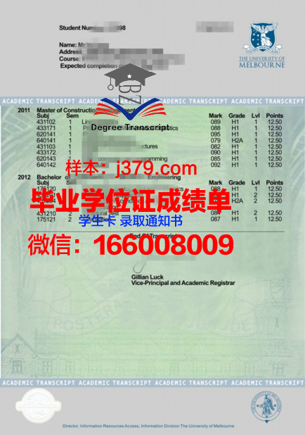P-ton成绩单：数字化时代的学业新篇章