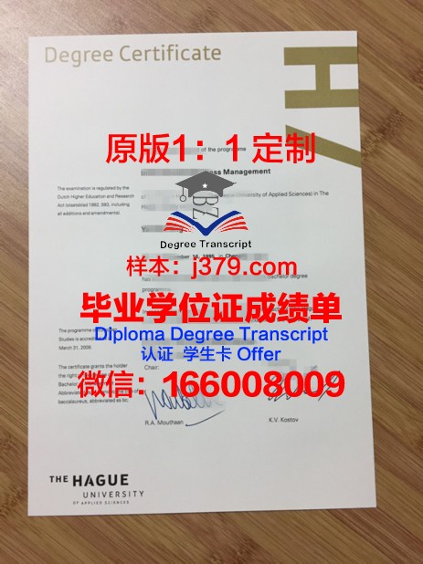海牙皇家艺术学院毕业证图片