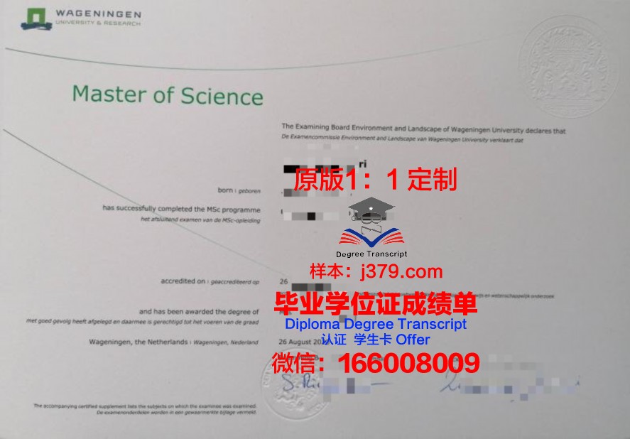 滨海大学毕业证尺寸(滨海学院毕业证啥样)