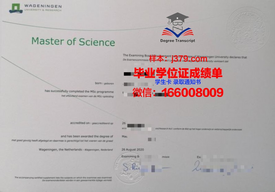 韦伯国际大学毕业证模板(韦伯国际大学世界排名)