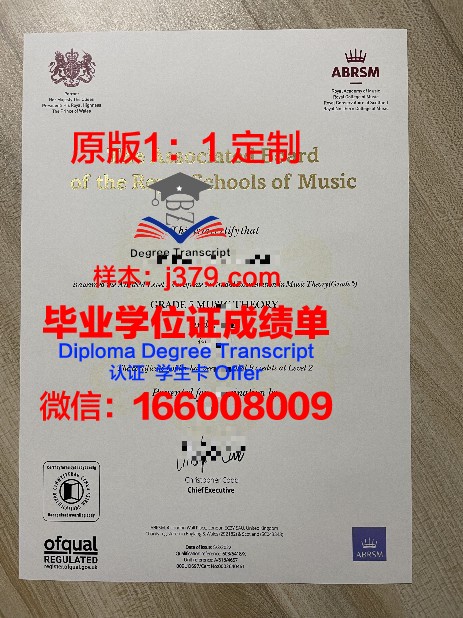 一窥朱大博士证书：专业实力与荣誉的象征