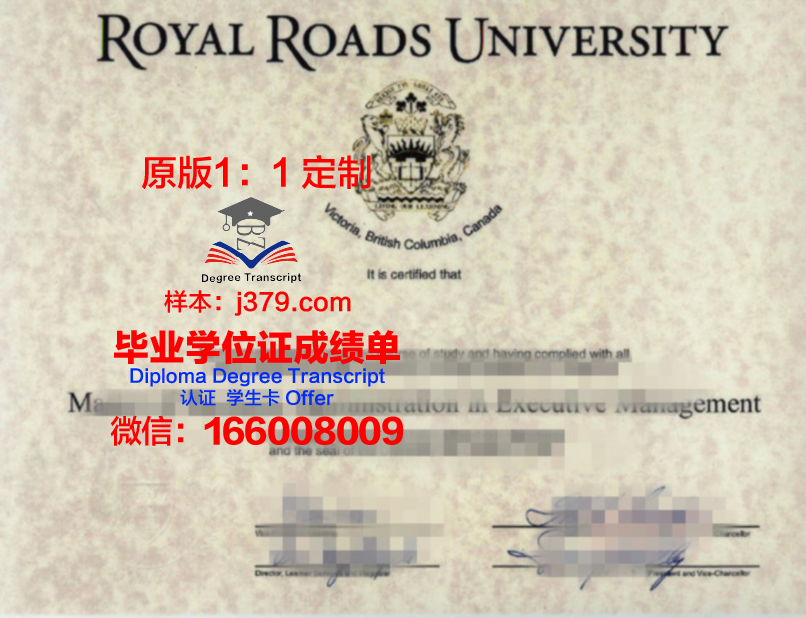 国家与世界经济大学毕业证书什么颜色(世界经济是什么学位)