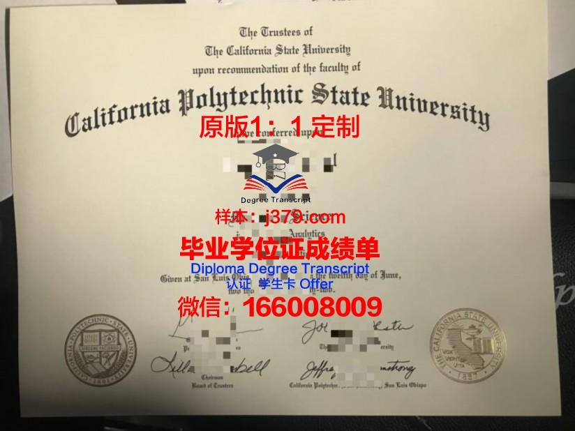 万理工Diploma证书：助力职场新人快速成长