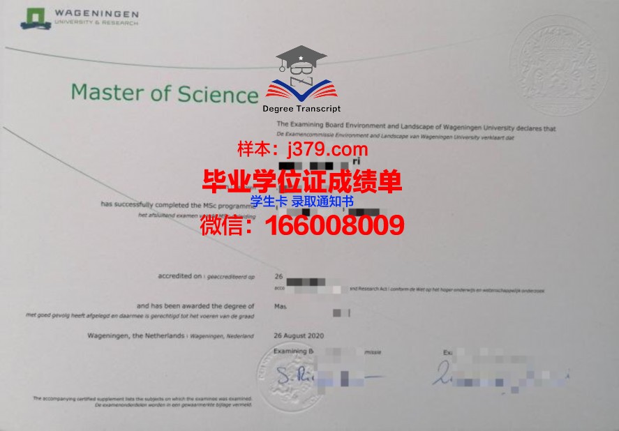 Potsdam U毕业证：承载荣誉与梦想的纸笔传奇