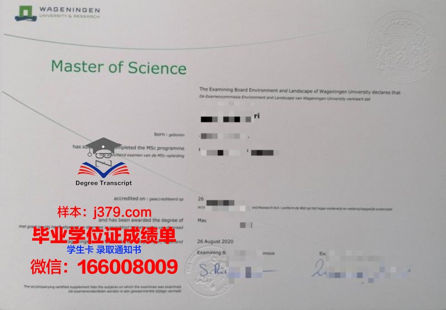 p毕业证(p毕业证判几年)