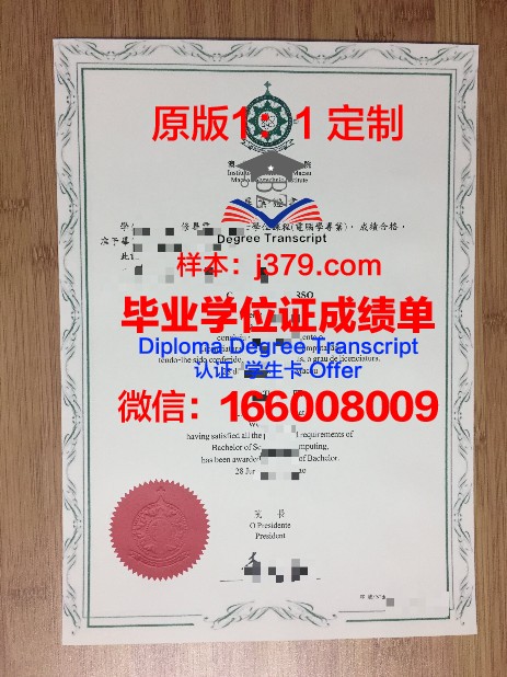 NTREN硕士毕业证：承载知识与梦想的通行证