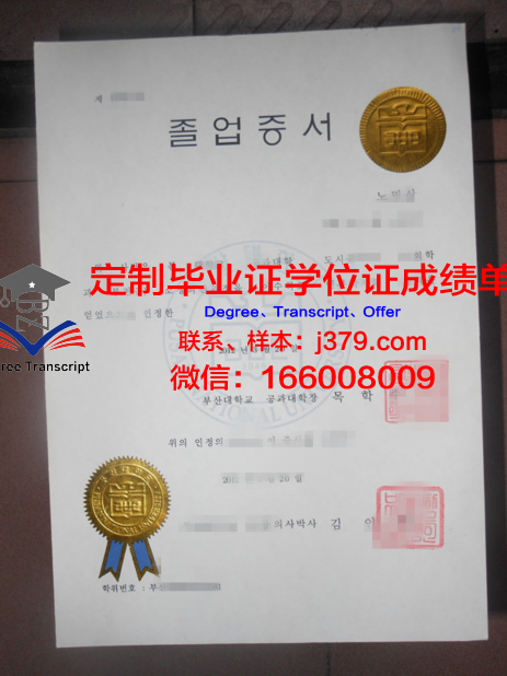釜山大学毕业证成绩单