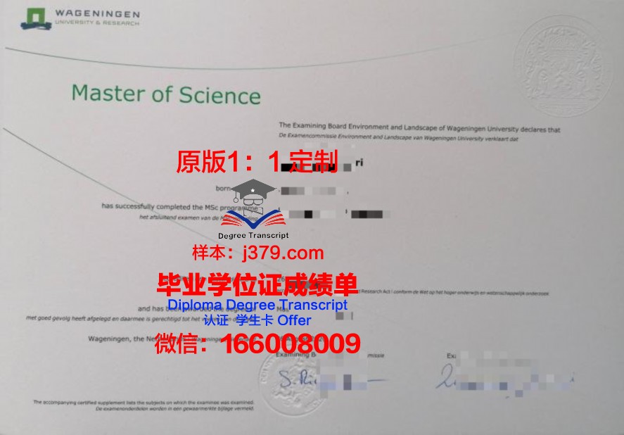 国外的博士有毕业证吗(国外博士毕业有毕业证吗)