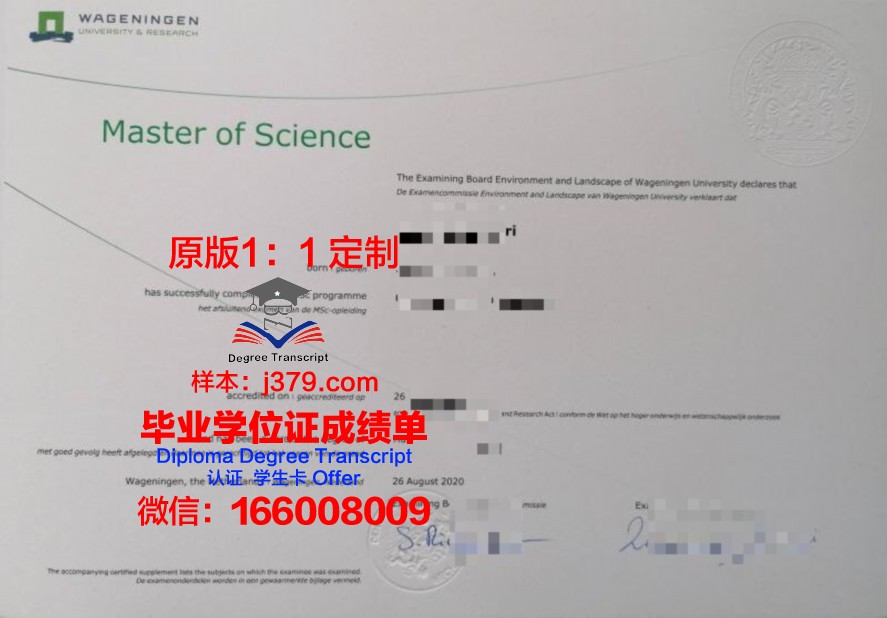 银湖学院毕业证学位文凭学历Diploma