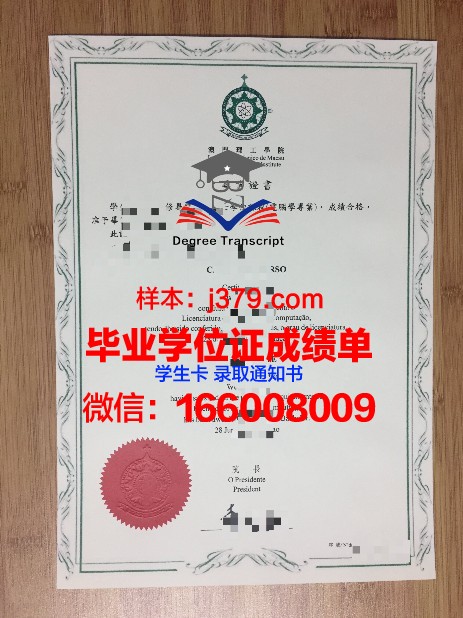 SNU毕业证：一张承载梦想与荣誉的证书