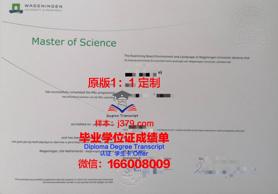 三仓大学研究生毕业证含金量与就业前景分析