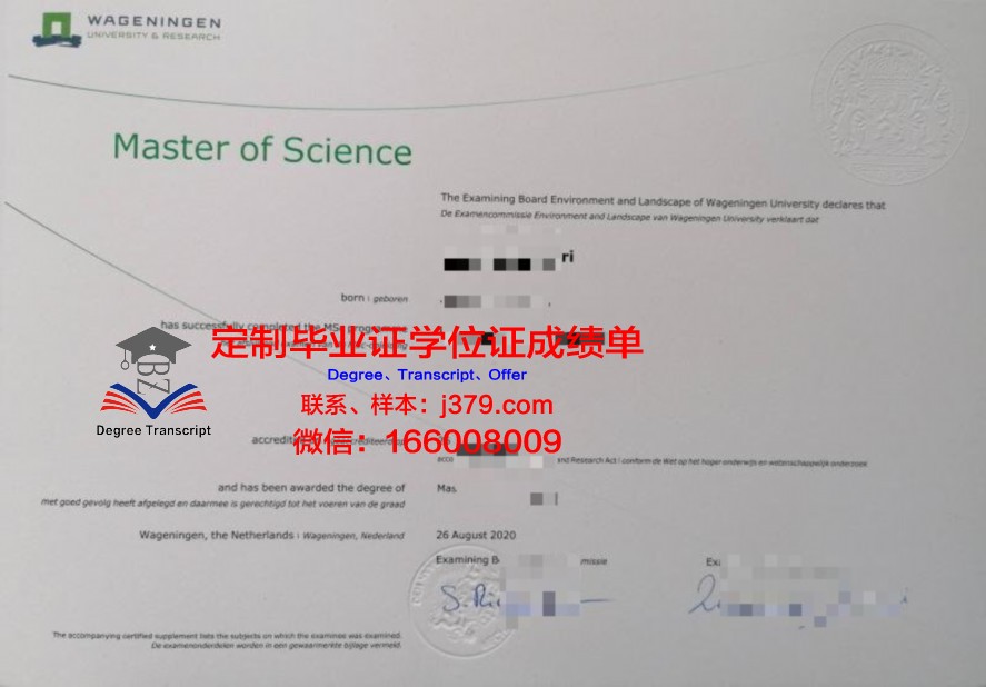 三仓大学毕业证遗失补办指南