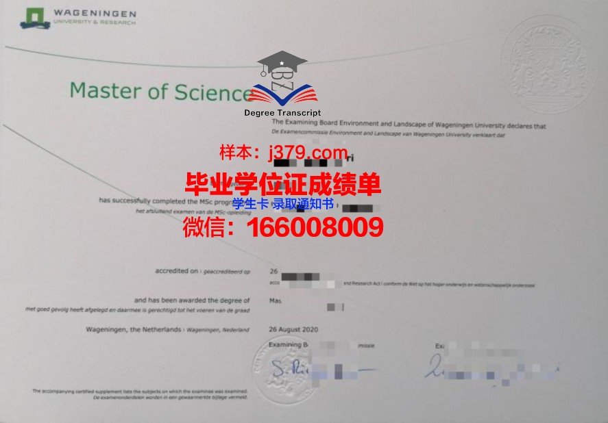 PoliTo本科毕业证：开启国际化教育新篇章的通行证
