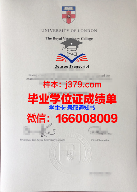 仰光第二医学院学位证书颁发