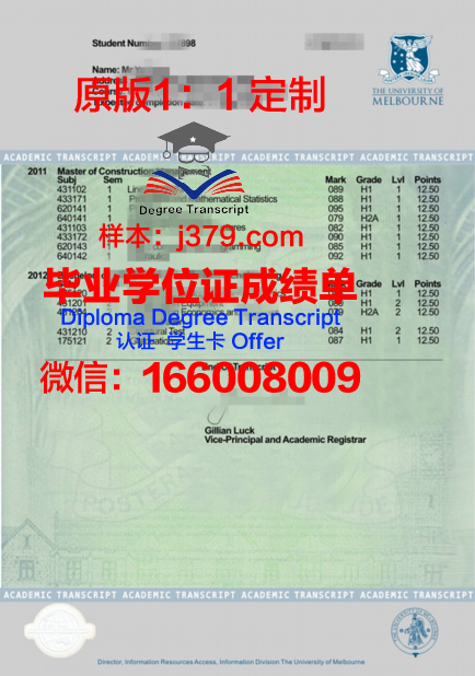 PUCP学位成绩单定制：打造专属学术名片