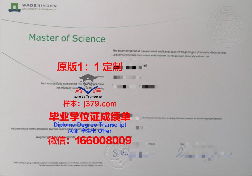 檀国毕业证电子版存储与备份指南