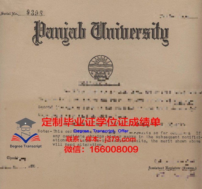 旁遮普大学毕业证书封套