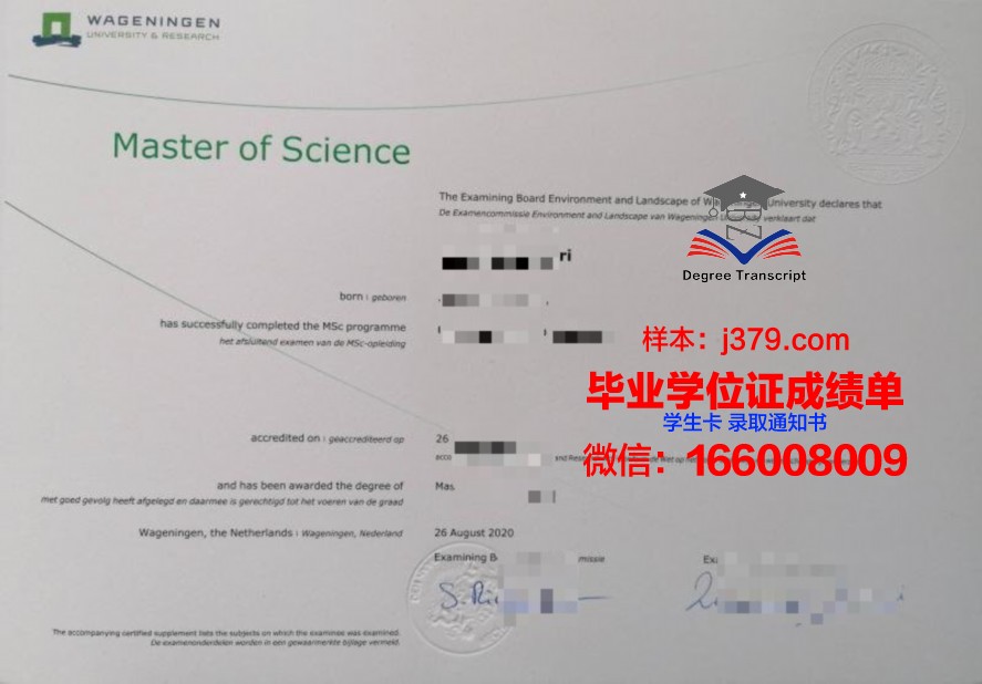 九工毕业证图片：毕业典礼上的光彩