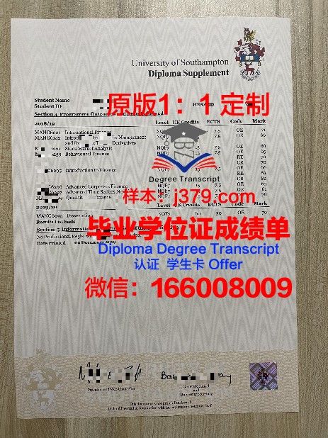 NTREN成绩单：见证成长与反思