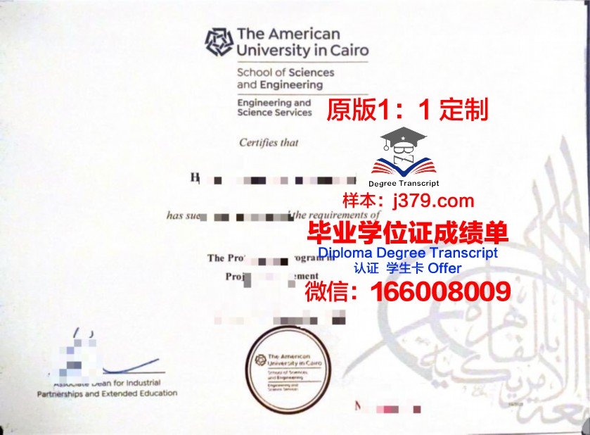 开罗毕业证书模板制作指南