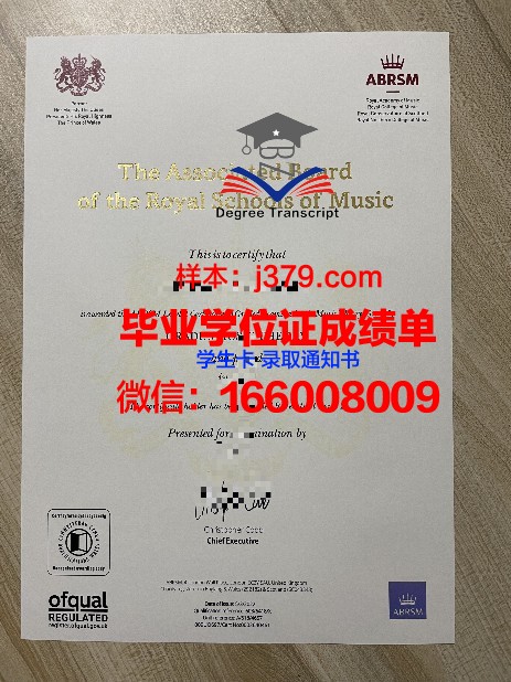拉奎拉美术学院毕业证书外套