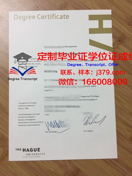海牙艺术大学毕业证电子版(艺术学院毕业证图片)