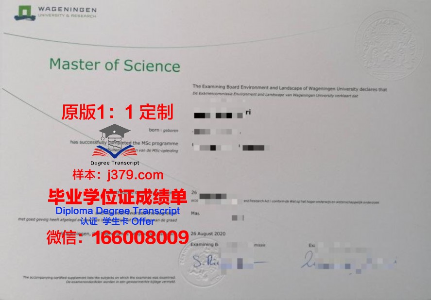 职场竞争力提升：都会大毕业证文凭的重要性