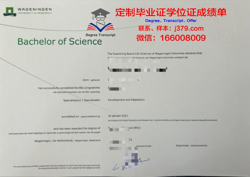 河国大本科证书：成就你辉煌的未来