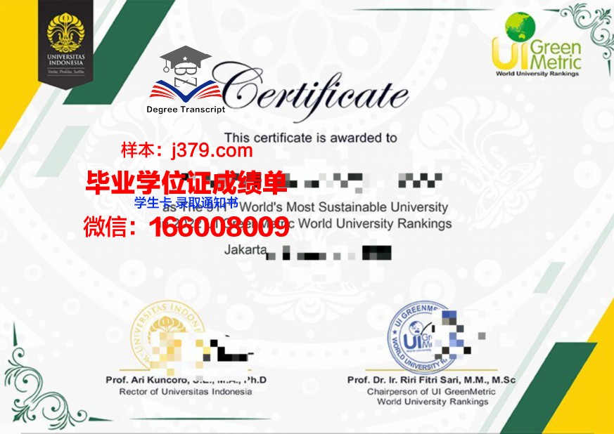 上智成绩单解读：全面分析学生表现