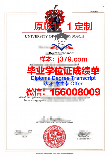 斯泰大毕业证书样本及样式