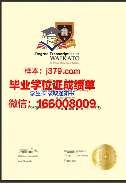 卡托利克大研究生证书：专业选择指南
